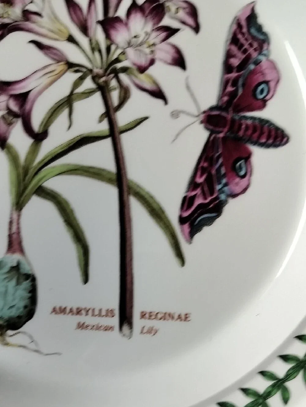 Portmeirion New Botanical Amaryllis & Butterfly Ceramic Dinner Plate